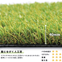 画像をギャラリービューアに読み込む, 【スタンダード 40mm】JPLV-40