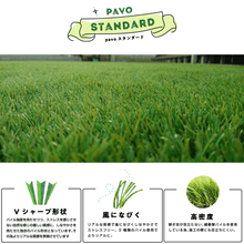 画像をギャラリービューアに読み込む, 【スタンダード 30mm】JPLV-30