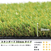 画像をギャラリービューアに読み込む, 【スタンダード 30mm】JPLV-30