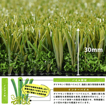 画像をギャラリービューアに読み込む, 【プレミアム PRO 30mm】JPY-30R