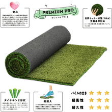 画像をギャラリービューアに読み込む, 【プレミアム PRO 30mm】JPY-30R