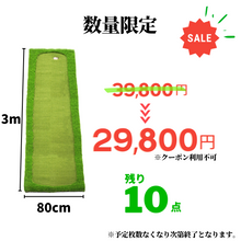 画像をギャラリービューアに読み込む, AG Practice Putter Mat 0.8m x 3m