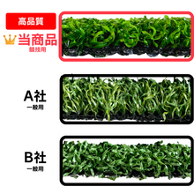 画像をギャラリービューアに読み込む, AG Practice Putter Mat 0.8m x 3m