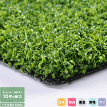 画像をギャラリービューアに読み込む, 【プレミアム S 13mm】JPG-13