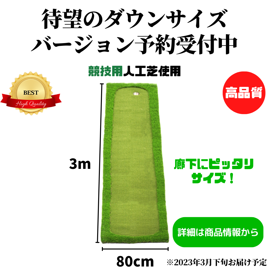 AG Practice Putter Mat 本格派 パターマット ゴルフ 競技用 人工芝