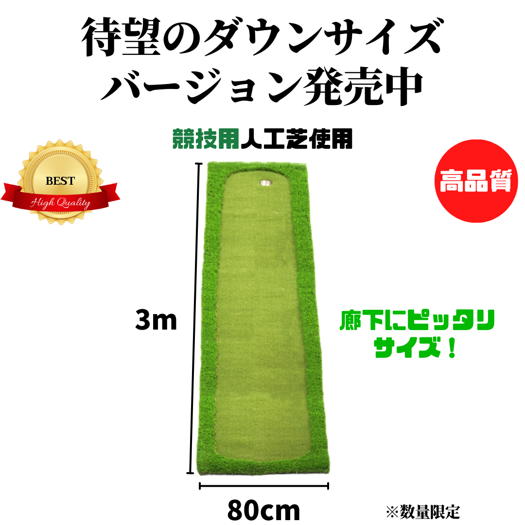 AG Practice Putter Mat 本格派 パターマット ゴルフ 競技用