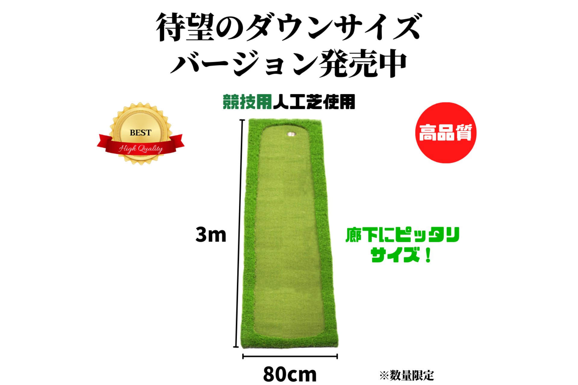 AG Practice Putter Mat 本格派 パターマット ゴルフ 競技用 人工芝